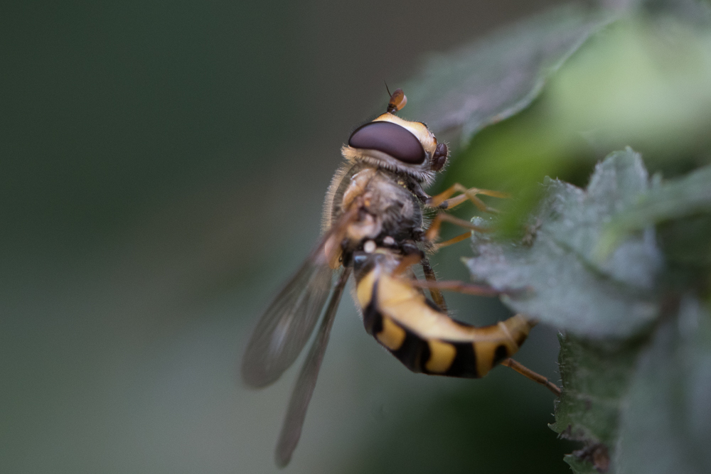 DSC_6138.jpg
