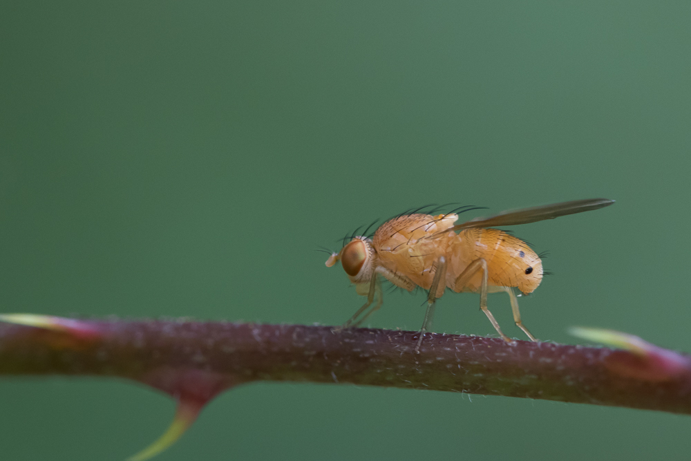 DSC_6329.jpg