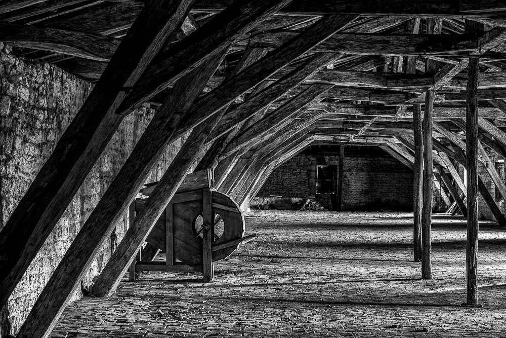 Proposition Sogo N&B.jpg