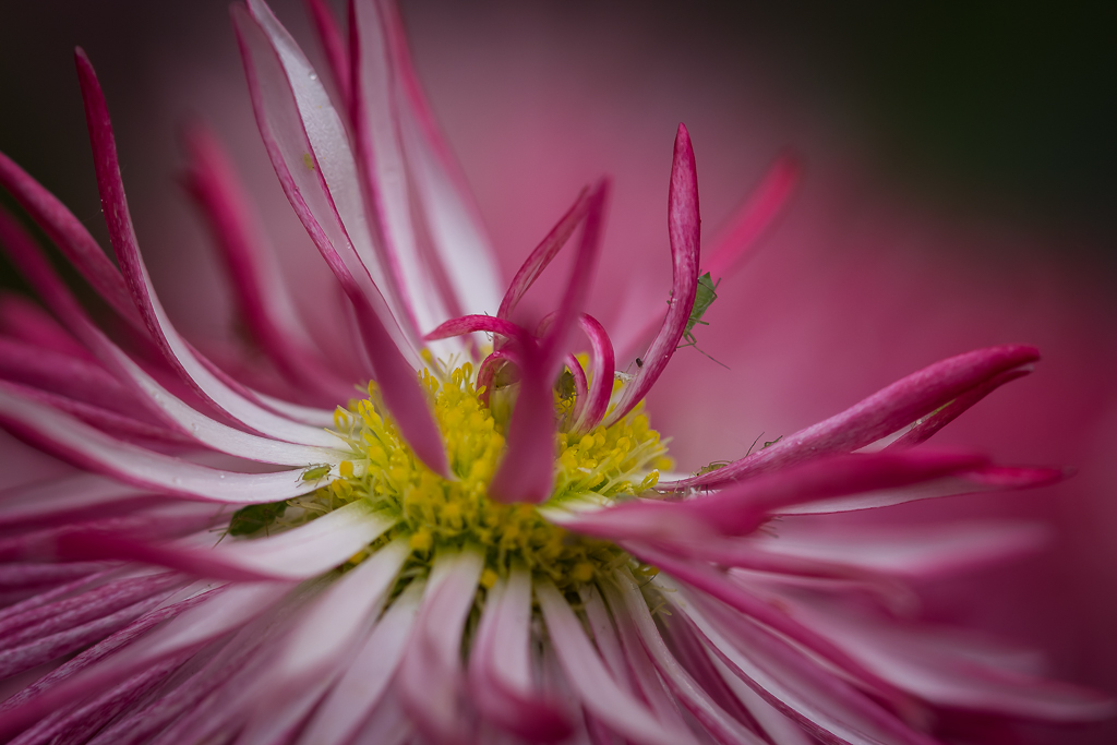 20130616-1764.jpg
