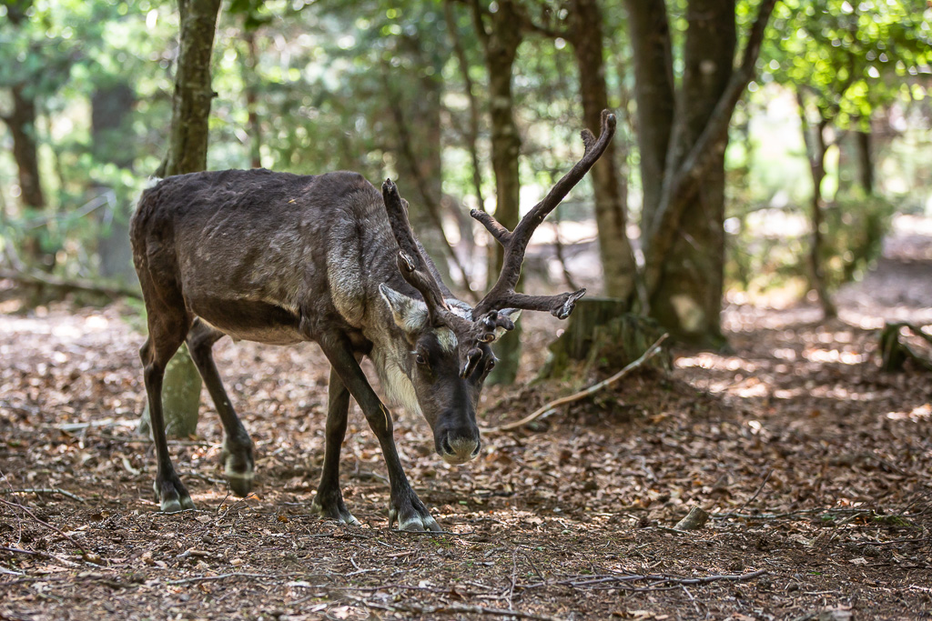 Sogo-22 aout 2018-1-2.jpg