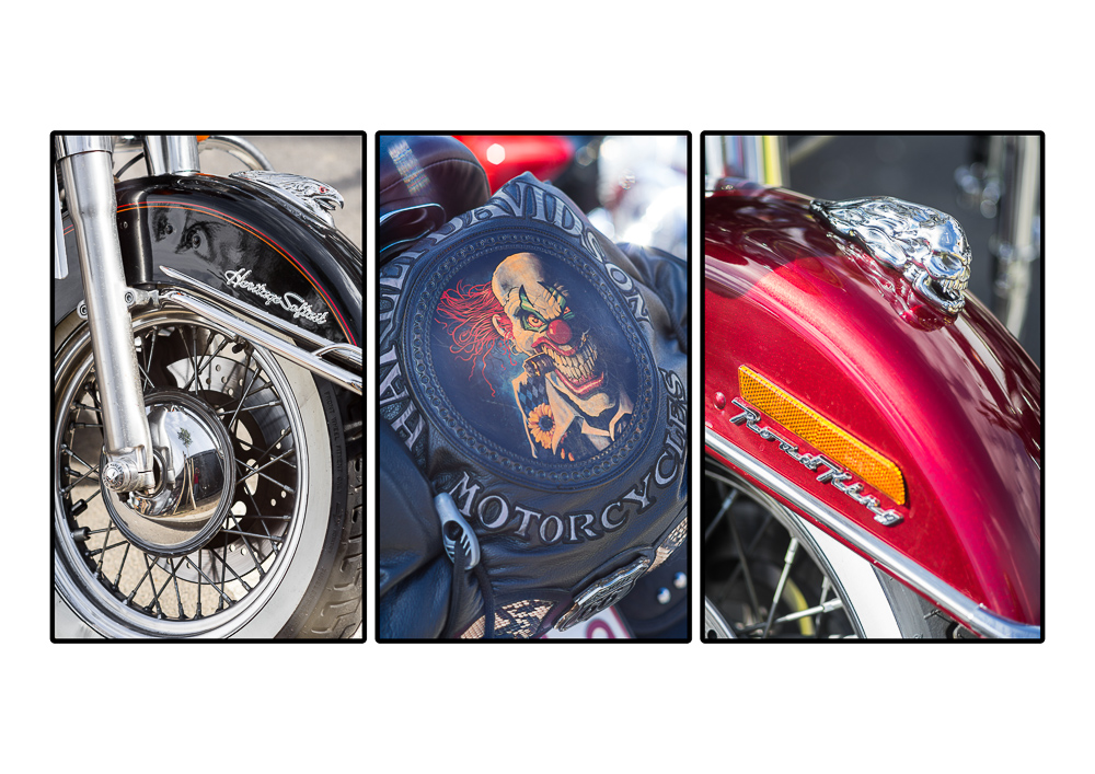 Harley-3.jpg