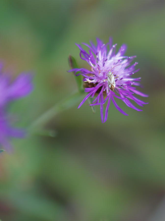 P9140047.jpg