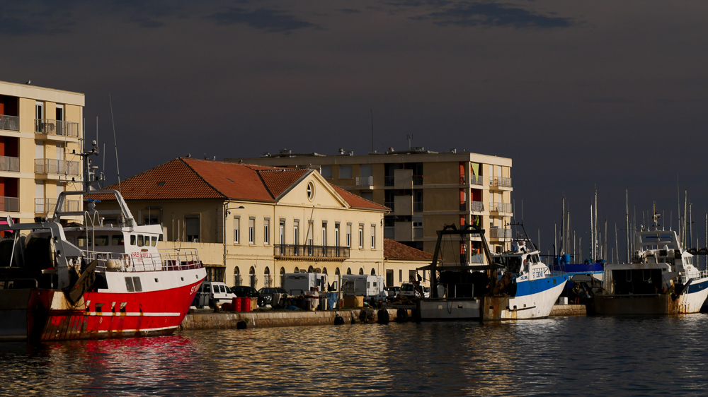P1000769.jpg