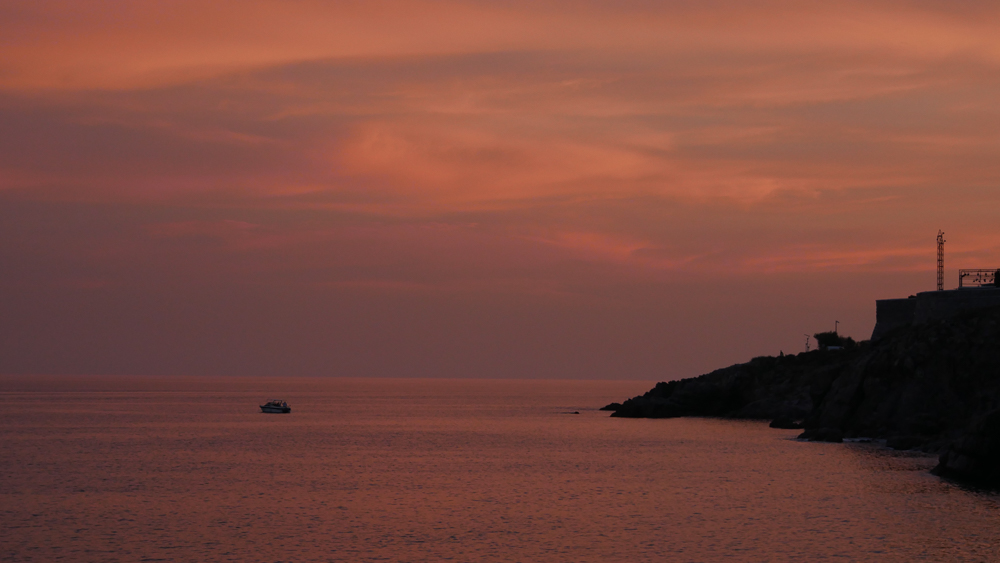 P1000778.jpg