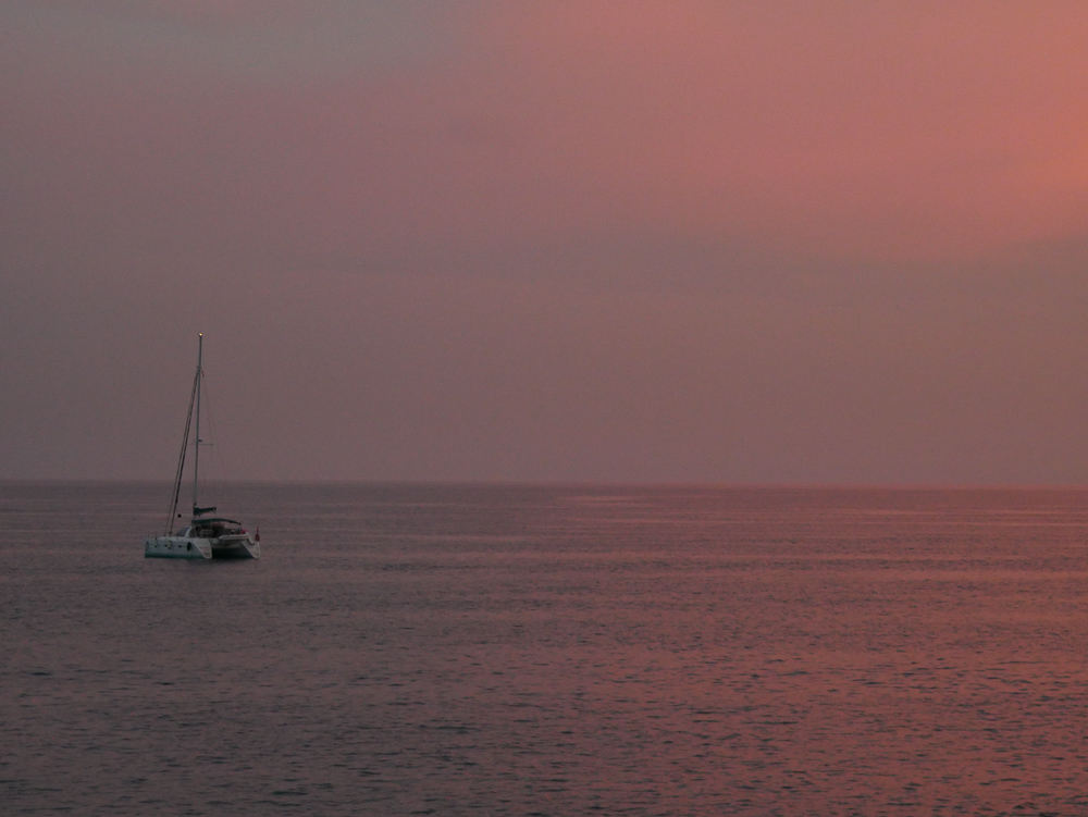 P1000784.jpg
