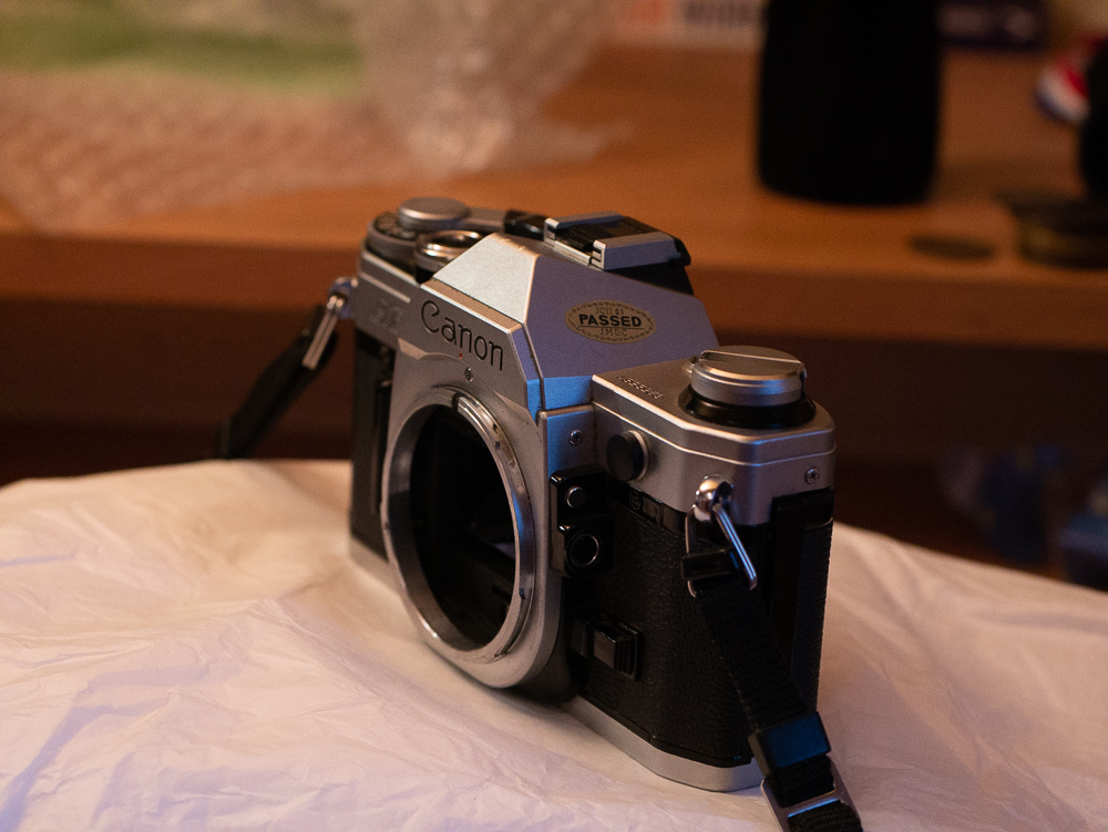 P1010434.jpg