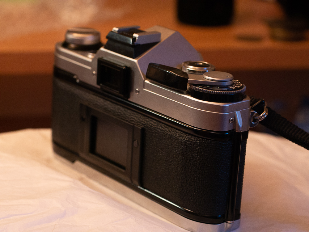 P1010435.jpg