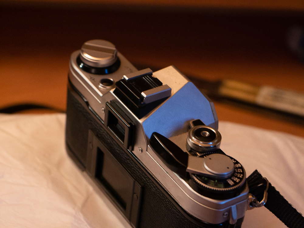 P1010436.jpg