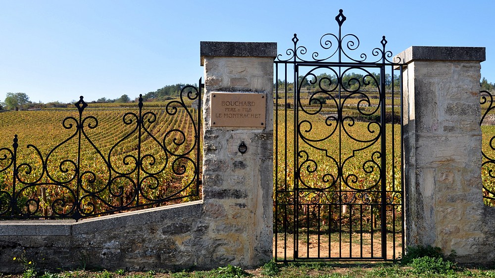 DSC_4088 Le Montrachet 1000.JPG