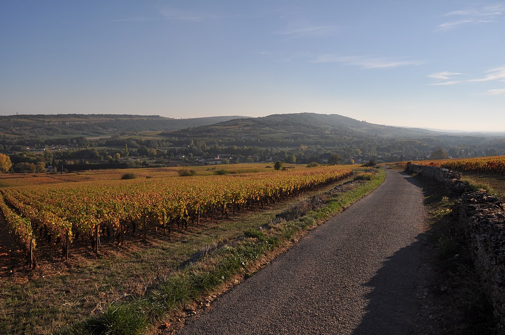 DSC_4109 vallee de la Dheune doree 1000.JPG