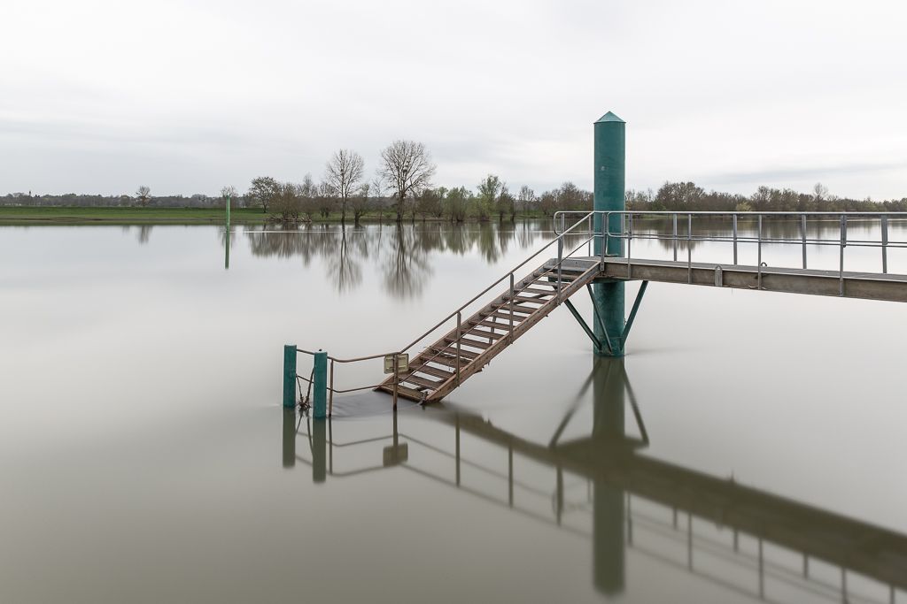 Sogo-09 avril 2018-1.jpg