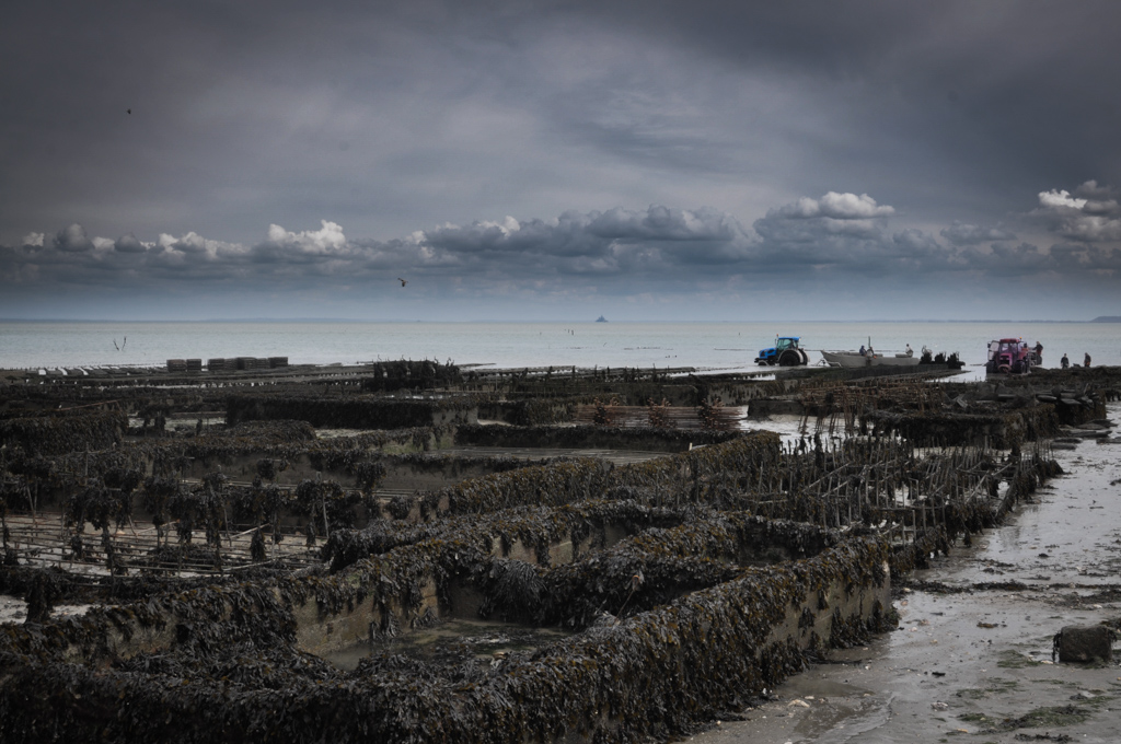 DSC_0272.jpg