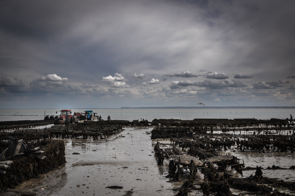 DSC_0273.jpg