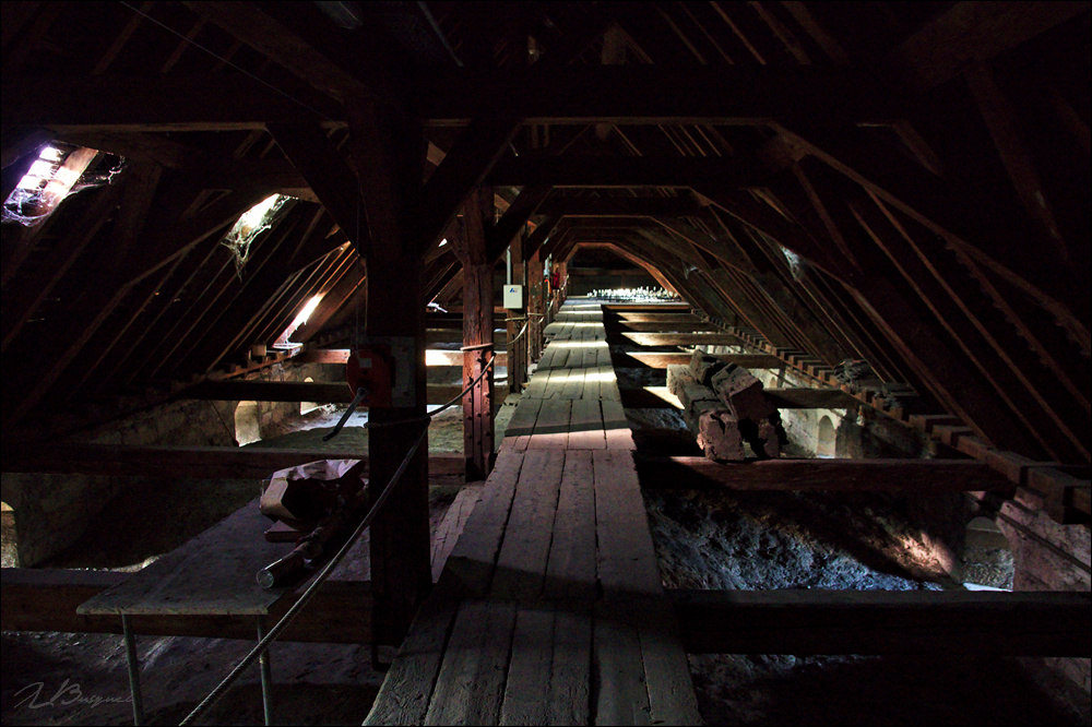 2018_1111_Geneve_JLUC1258_1000.jpg