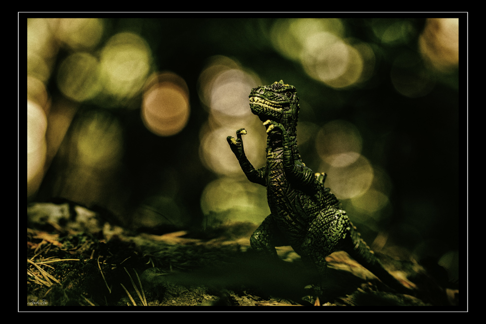 _MG_3108-Modifier.jpg