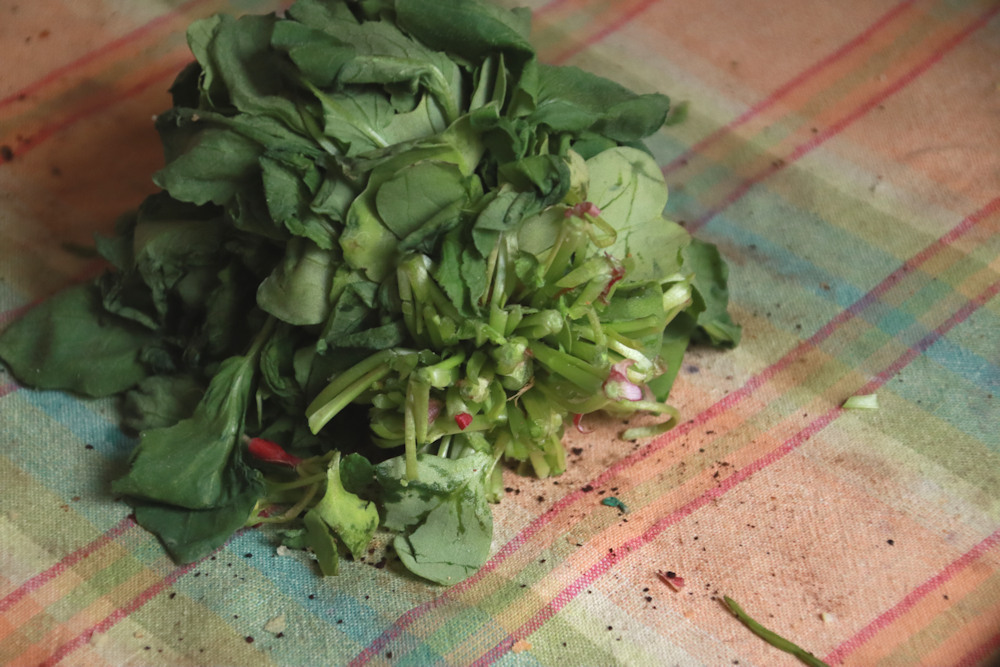 20181123_BEJ_EOS M50_0004.JPG