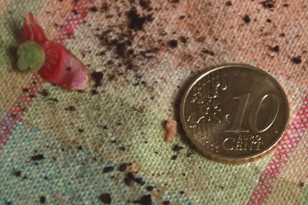 20181123_BEJ_EOS M50_0009.JPG