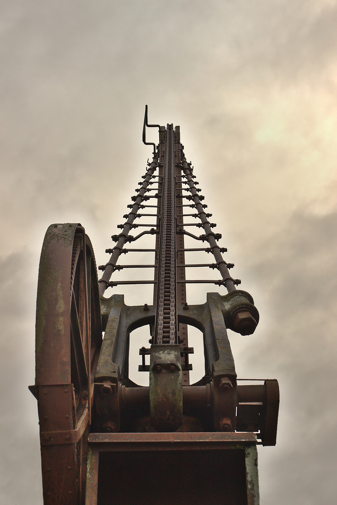 Yann-6 DT-FSW-1000.jpg