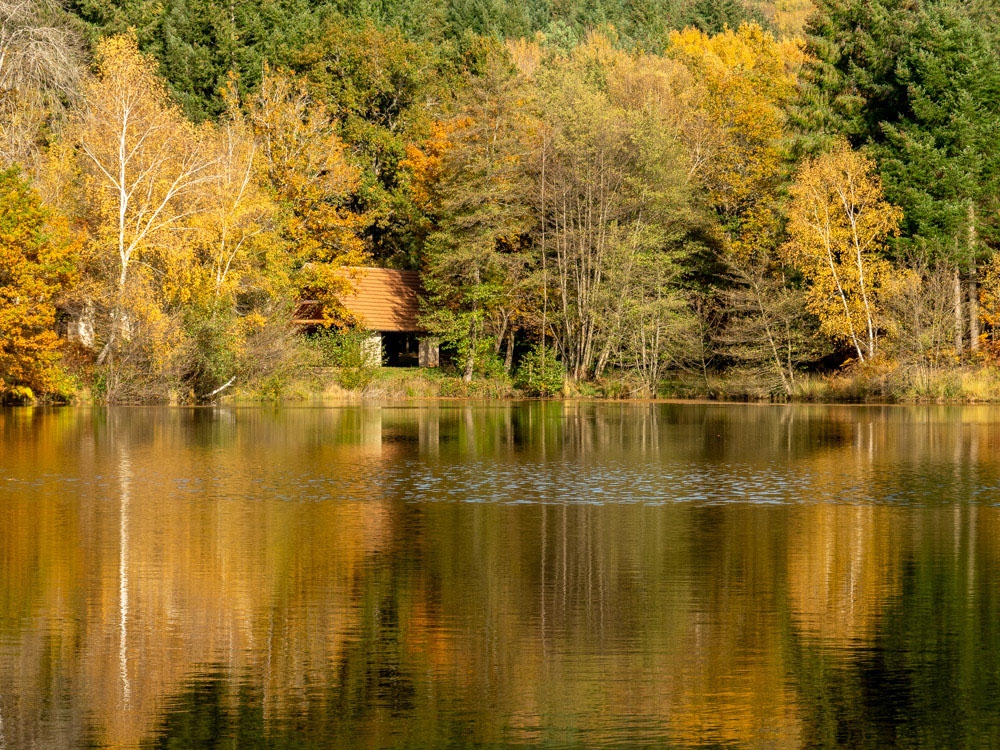 Jeu - Un theme une photo - Episode 60.jpg