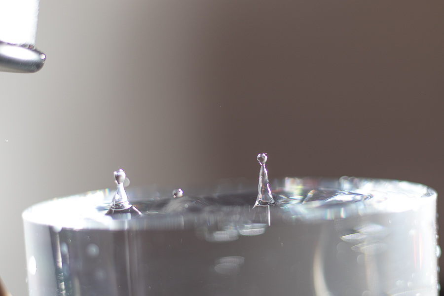 452A0923.jpg