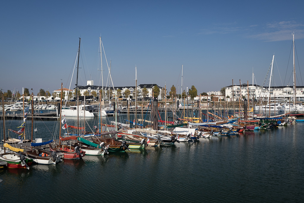 20181018-7379.jpg