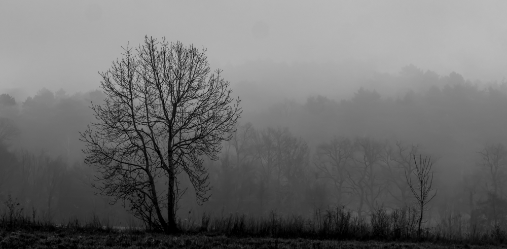 Jeu - Un thème une photo - Episode 62.jpg