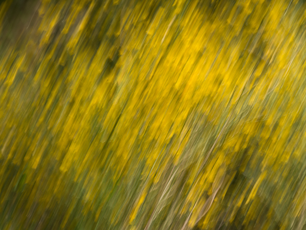 _1050731.jpg