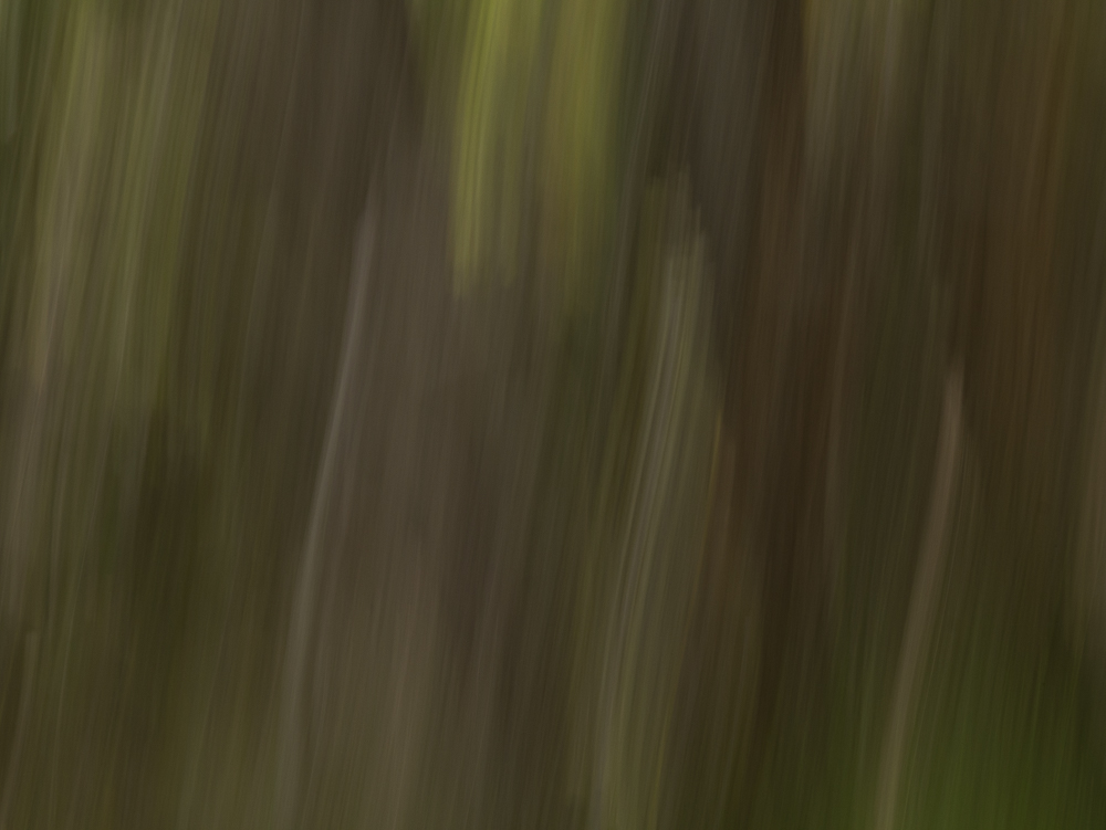 _1050733.jpg
