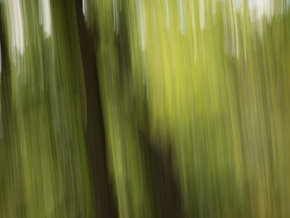 _1050734.jpg