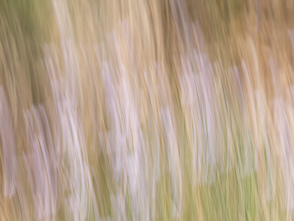 _1050735.jpg