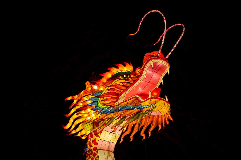 5D3_1053.jpg