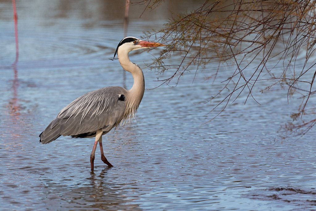 5D3_1387.jpg