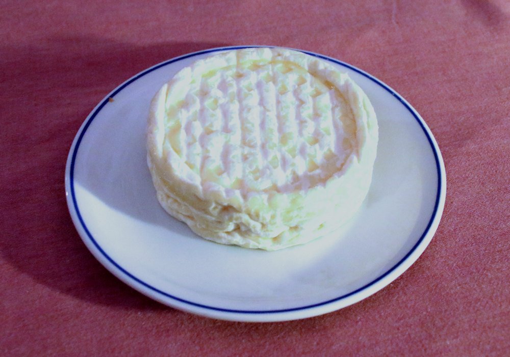 20190127_BEJ_EOS 7D Mark II_0377.JPG