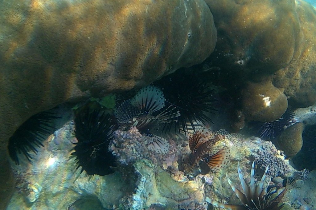 20120606_2315370.jpg