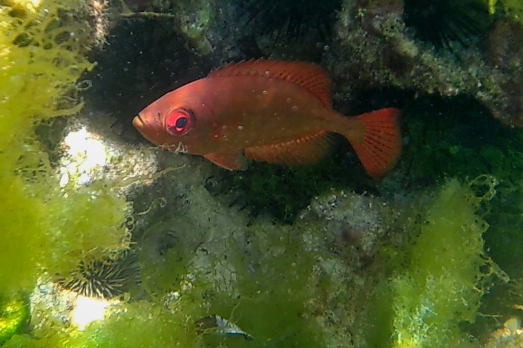20120607_0025210.jpg