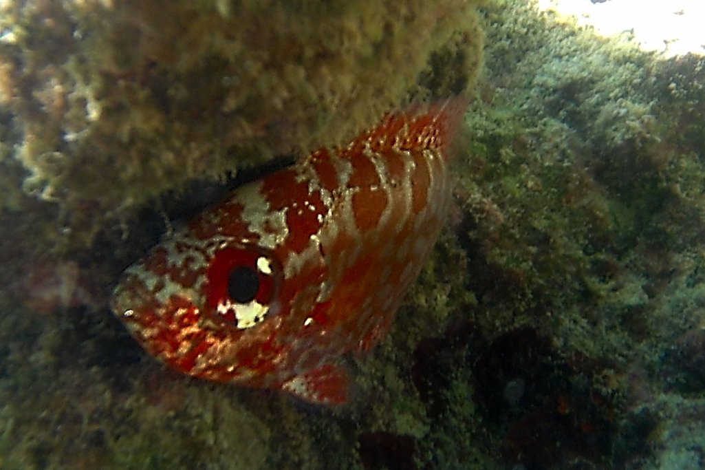 20120607_0204010.jpg