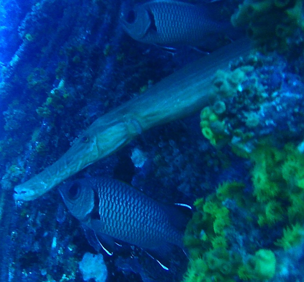 20120608_0214180.jpg