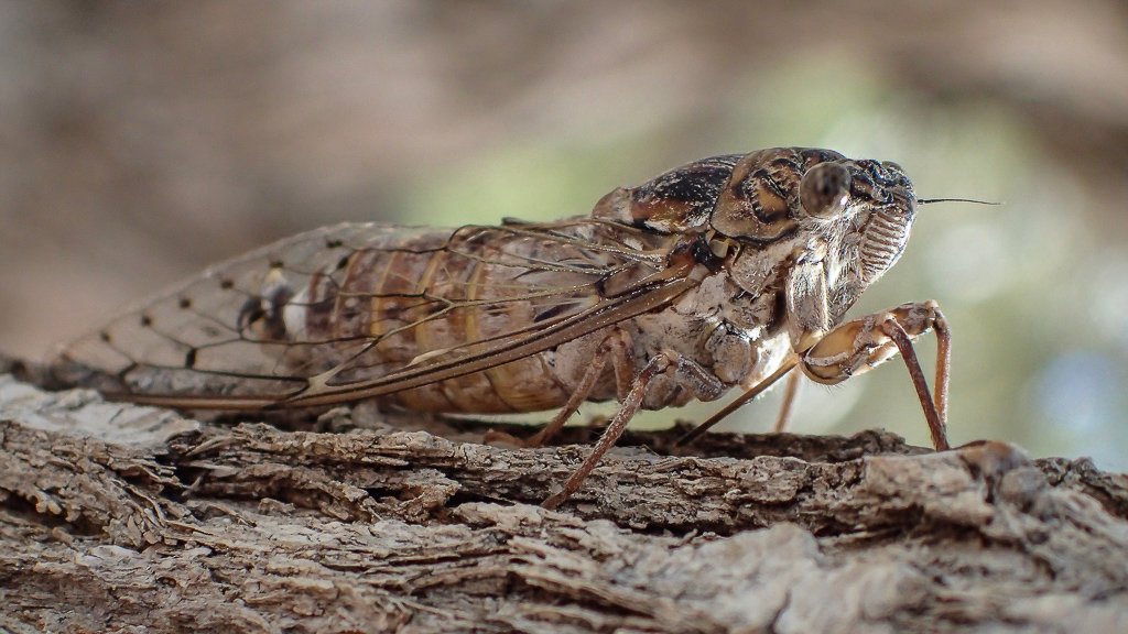 20170708-7081177.jpg