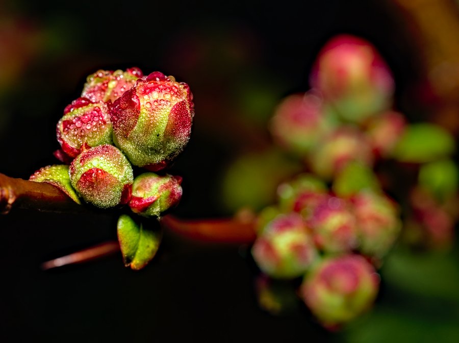 P3030415.jpg