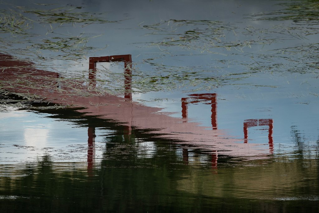 20180814-5585.jpg