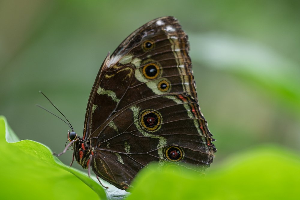 DSC_7290.jpg