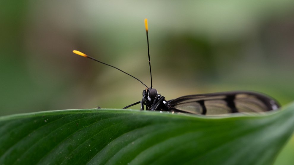 DSC_7426.jpg