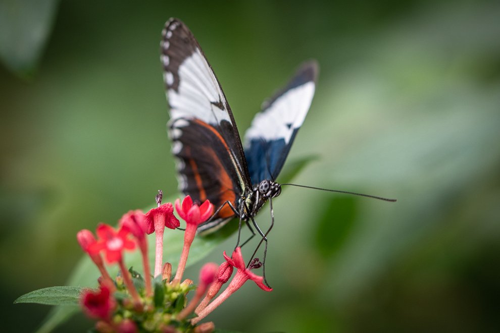 DSC_7510.jpg