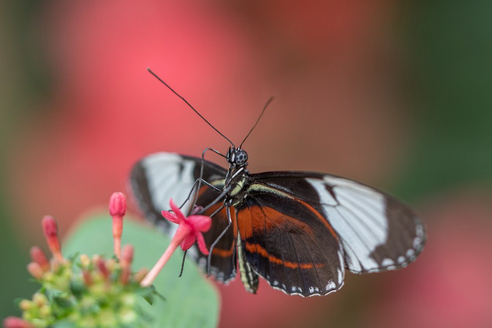 DSC_7514-Modifier.jpg