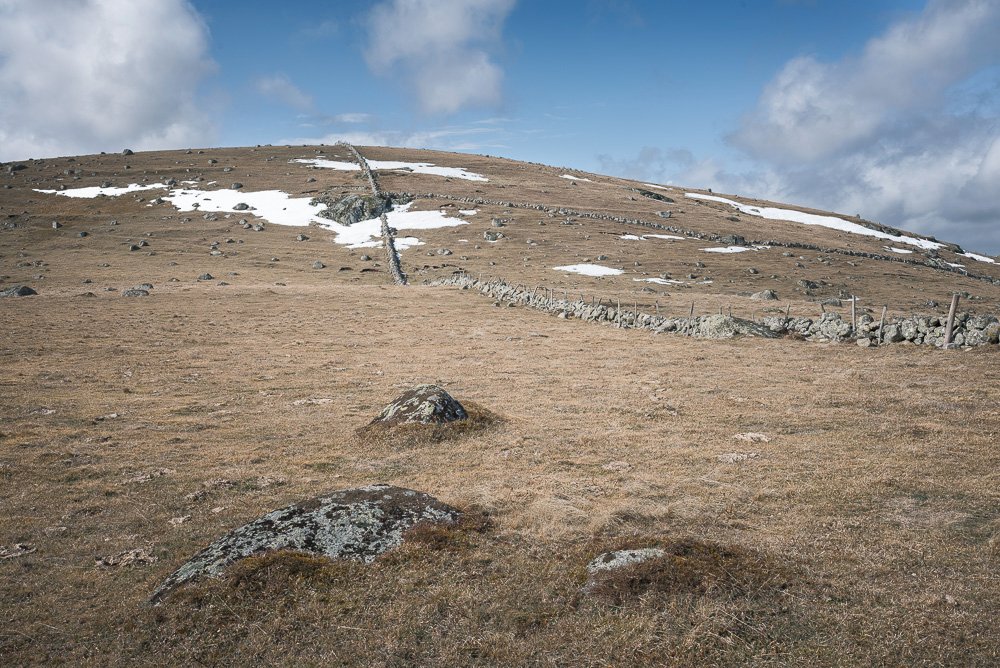 AubracCourbes-1.jpg