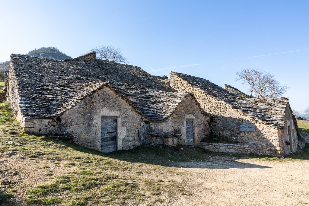 5D3_2525.jpg