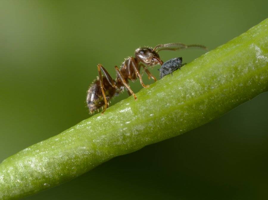 P4220826.jpg