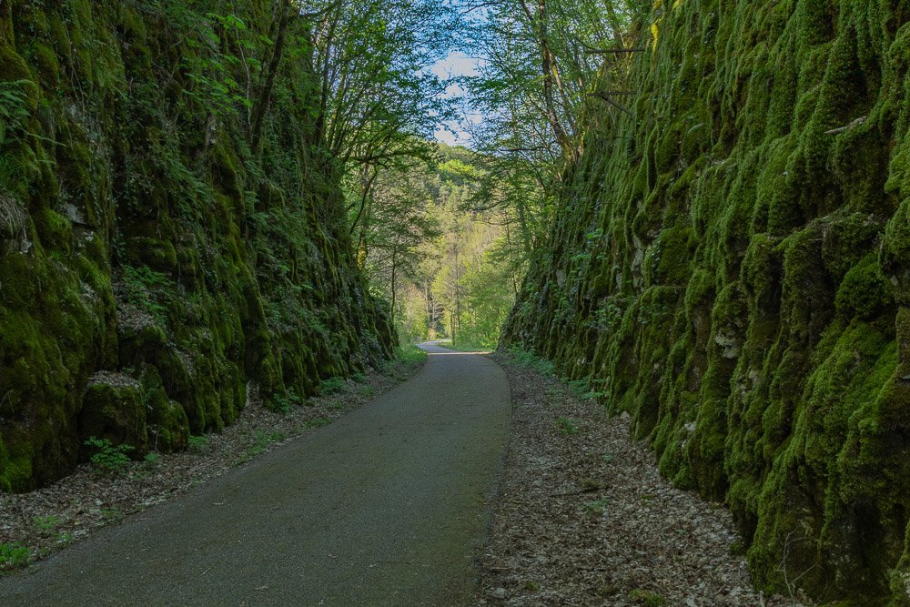 01052019-IMG_9998-HDR.JPG