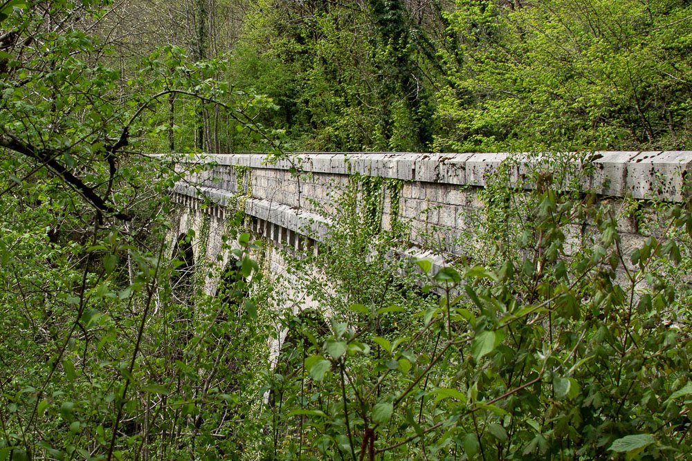 26042019-IMG_9777.JPG